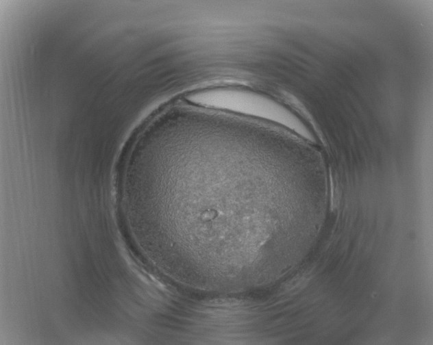 X0000067470435200604142354