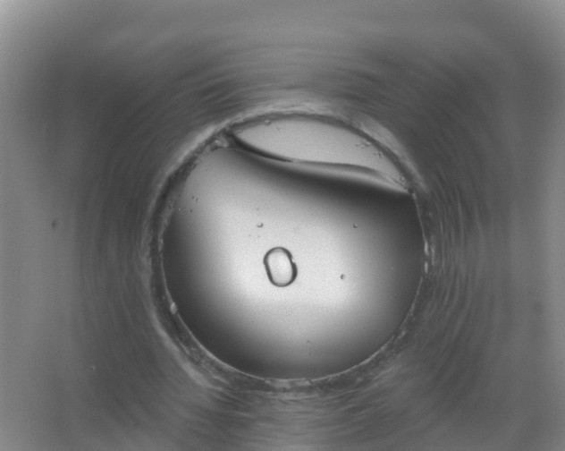 X0000067470436200604142354