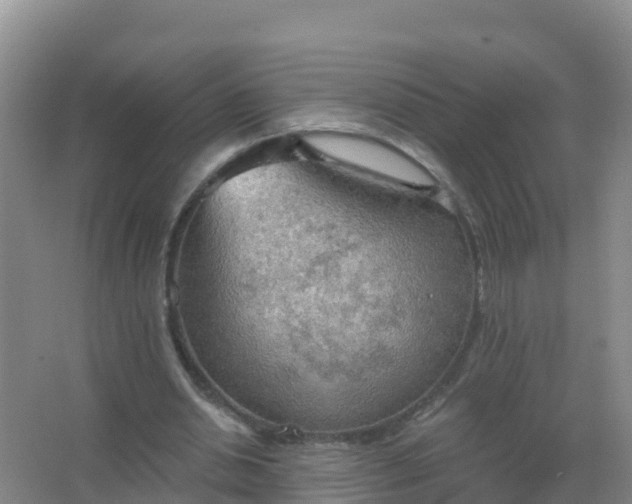 X0000067470438200604142354