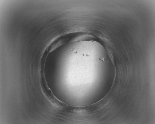 X0000067470440200604142354