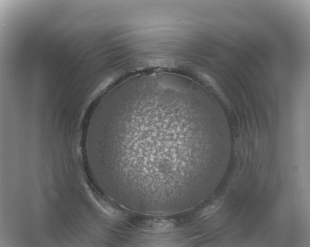 X0000067470443200604142354