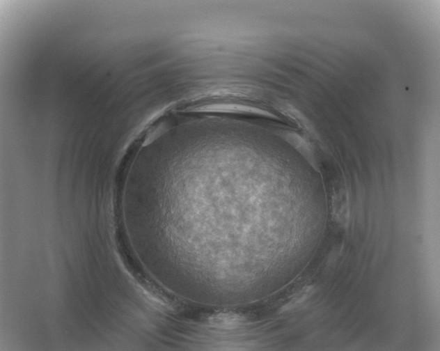 X0000067470444200604142354