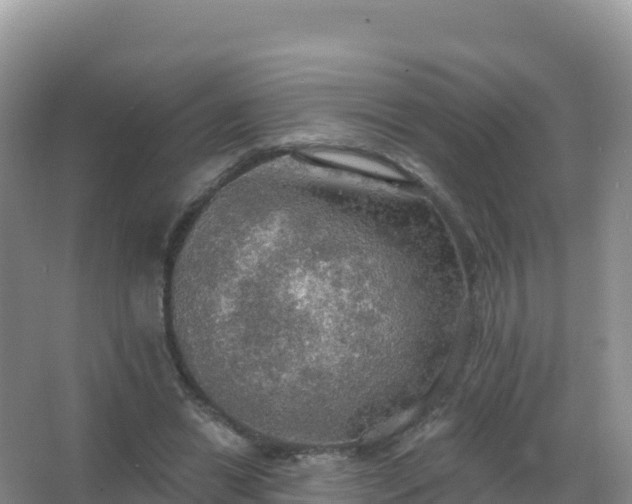 X0000067470446200604142354