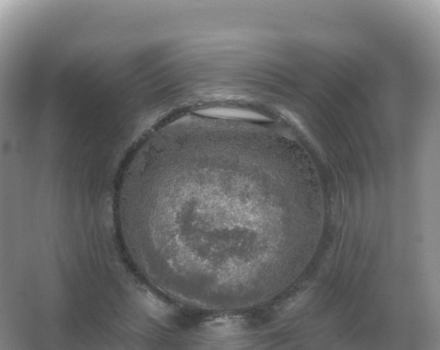 X0000067470447200604142354