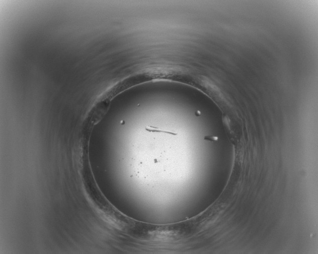 X0000067470448200604142354