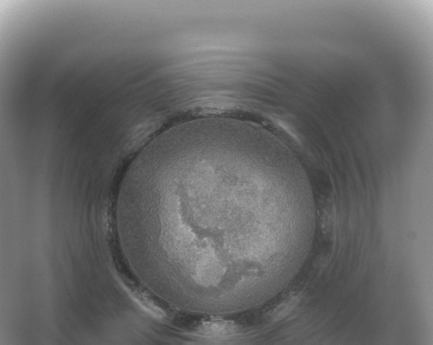 X0000067470455200604142354