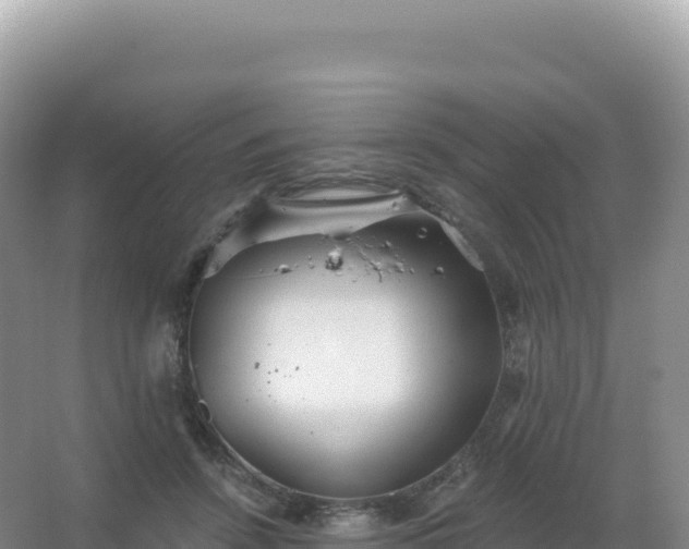 X0000067470456200604142355