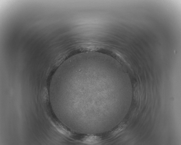 X0000067470459200604142355