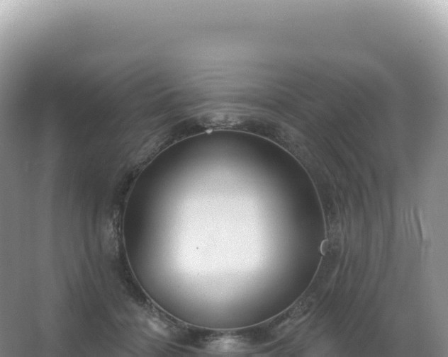 X0000067470460200604142355