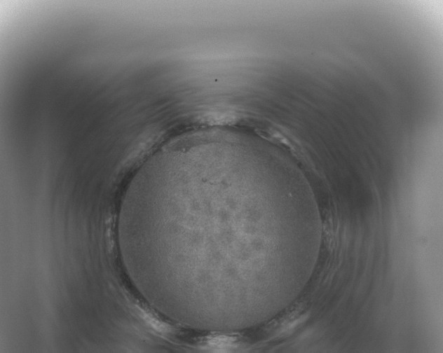 X0000067470462200604142355