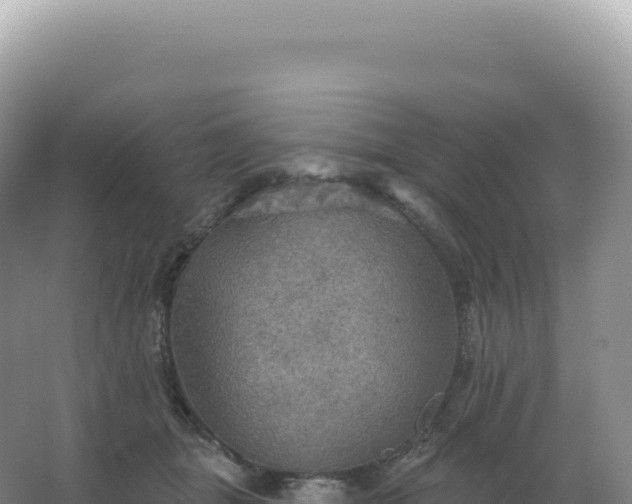 X0000067470463200604142355