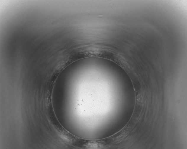 X0000067470464200604142355