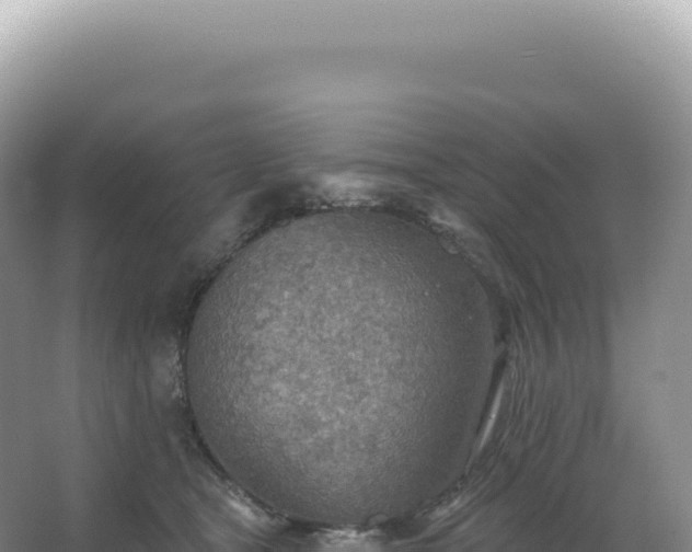 X0000067470465200604142355