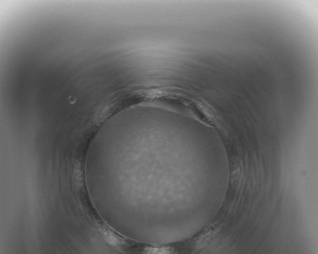 X0000067470469200604142355