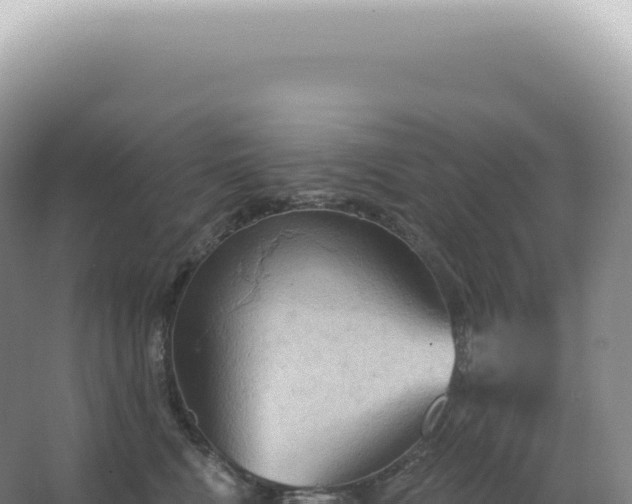 X0000067470472200604142355