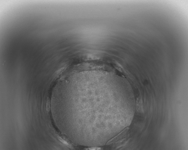 X0000067470474200604142355