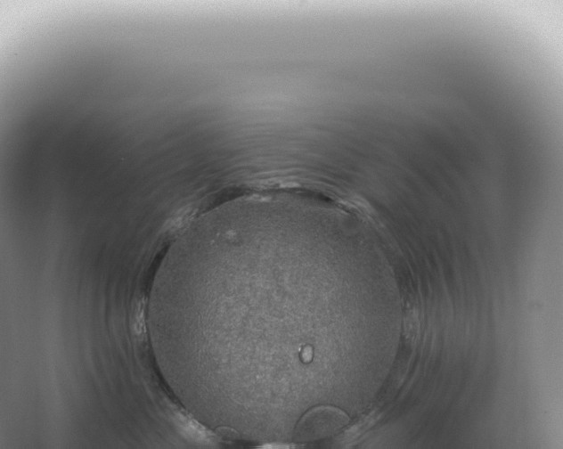 X0000067470477200604142355