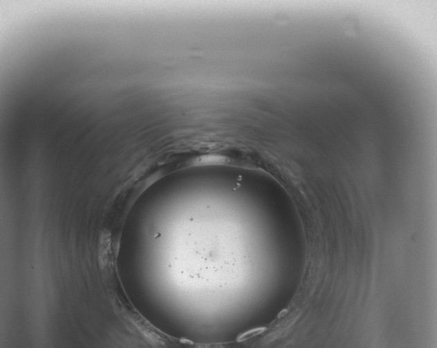 X0000067470480200604142355