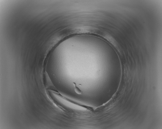 X0000067470485200604142354