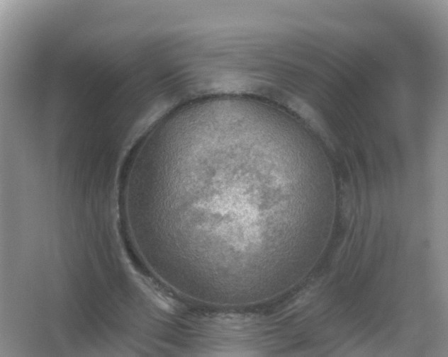 X0000067470486200604142354