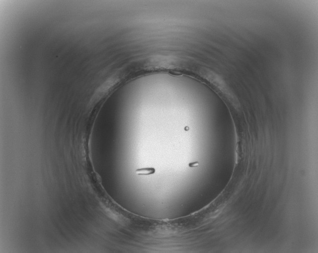 X0000067470489200604142354