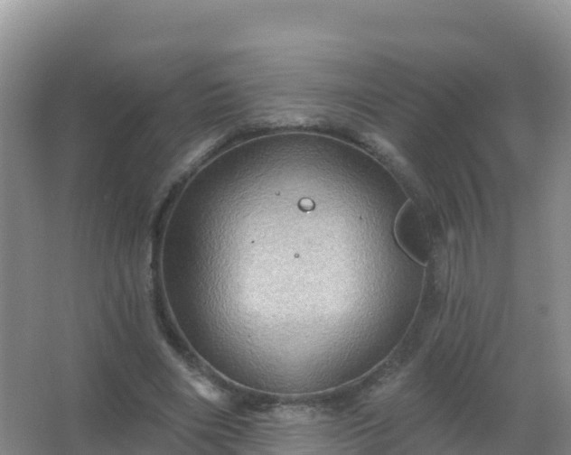 X0000067470490200604142354