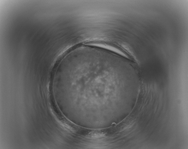 X0000067470491200604142354