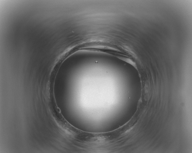 X0000067470492200604142354