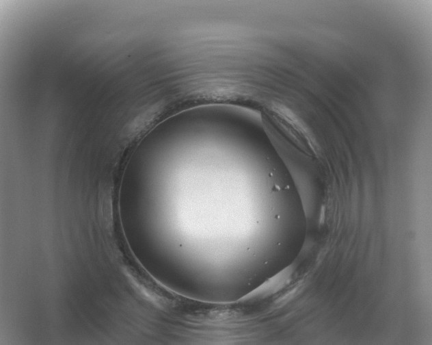 X0000067470493200604142354