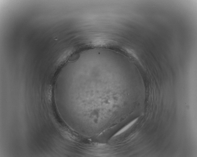 X0000067470495200604142354