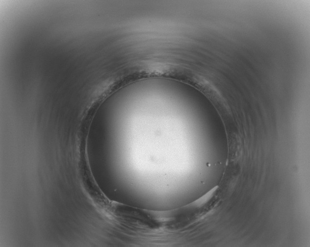 X0000067470496200604142354