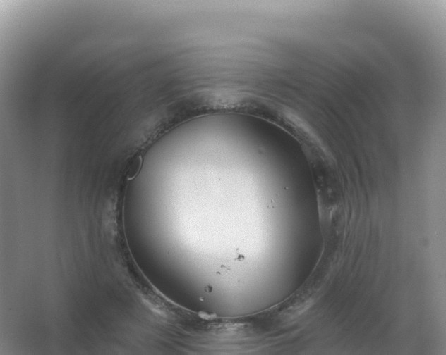 X0000067470497200604142354