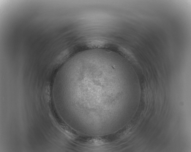 X0000067470498200604142354