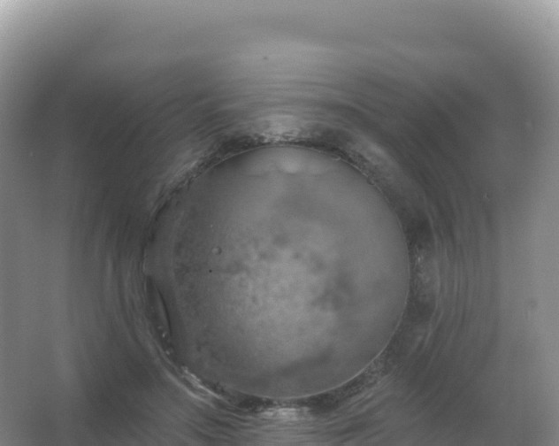 X0000067470499200604142354