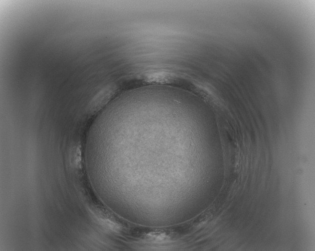 X0000067470502200604142354