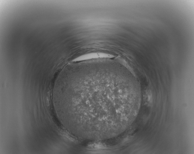 X0000067470503200604142354