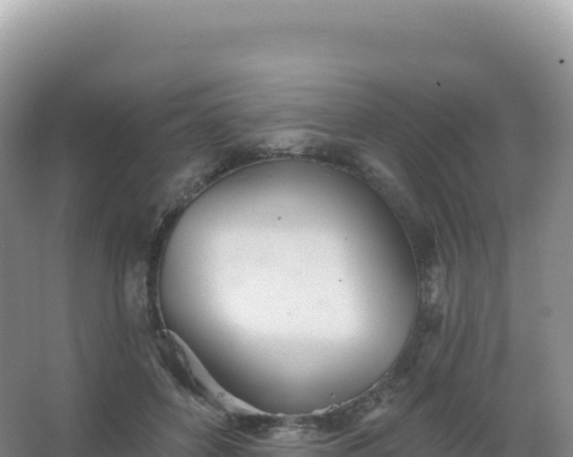 X0000067470504200604142354