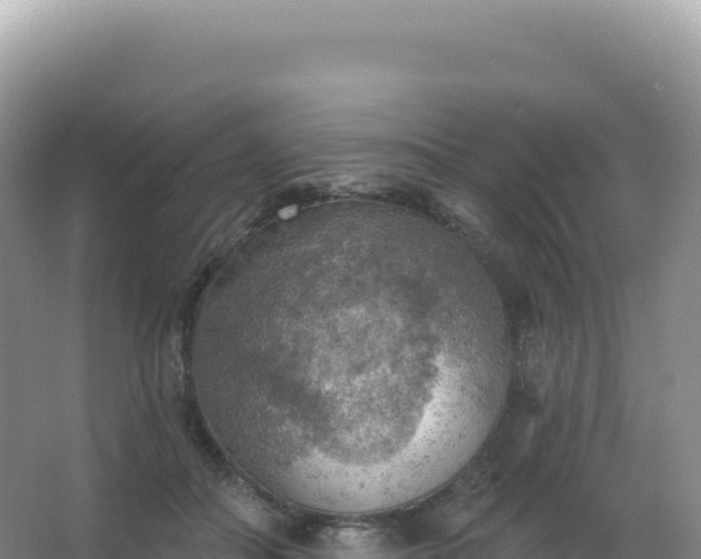 X0000067470506200604142354