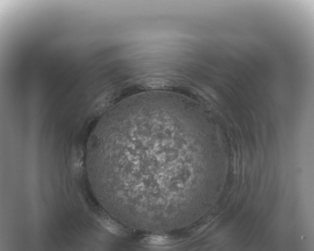 X0000067470507200604142354