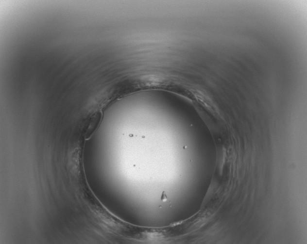 X0000067470509200604142354