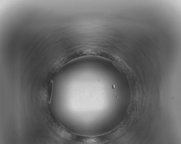 X0000067470513200604142354