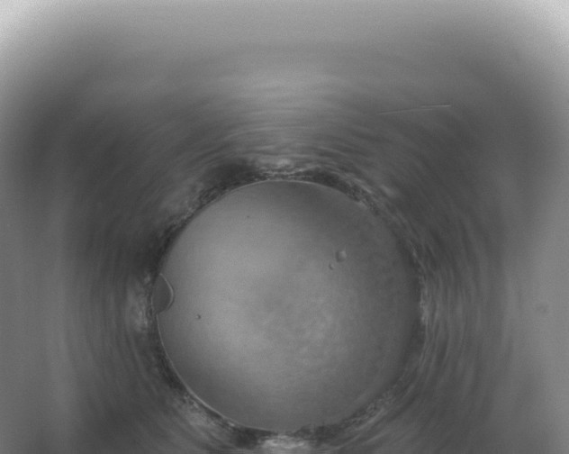 X0000067470515200604142354