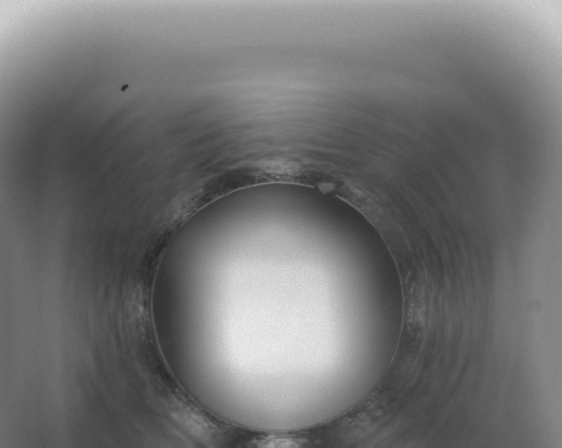 X0000067470518200604142353