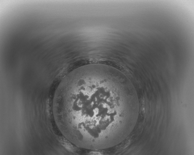 X0000067470519200604142353