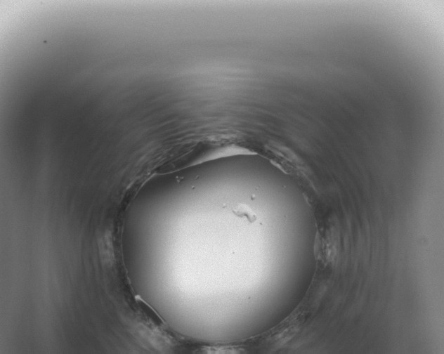 X0000067470520200604142353