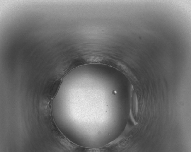 X0000067470521200604142353