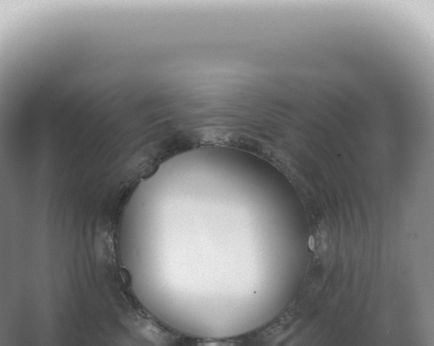 X0000067470522200604142353