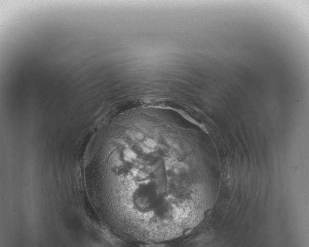 X0000067470523200604142353