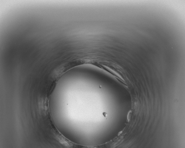 X0000067470525200604142353