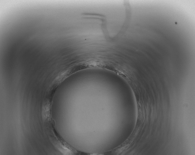 X0000067470526200604142353